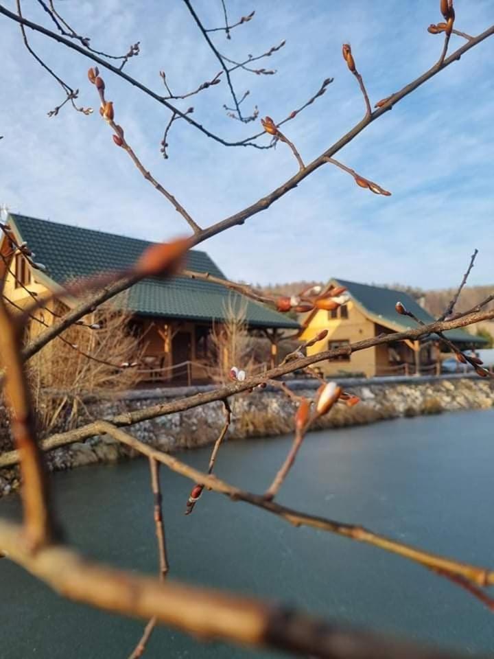 Domki Gorska Zatoka Stronie Śląskie Exteriér fotografie